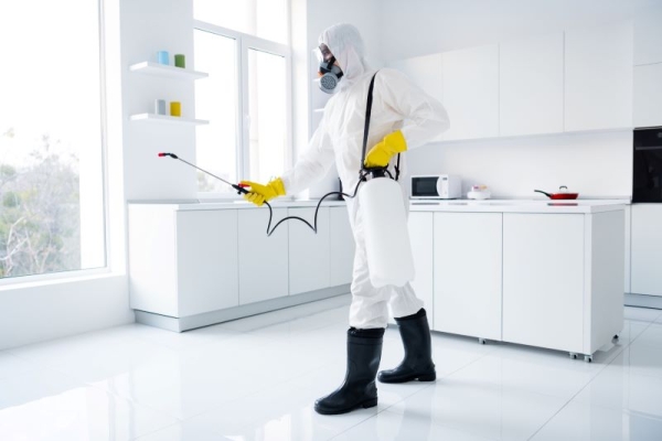 How to Quickly Find Biohazard Cleanup Services in an Emergency