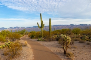 Cummings Plumbing on Common Air Conditioning Issues Caused by Extreme Heat in Arizona