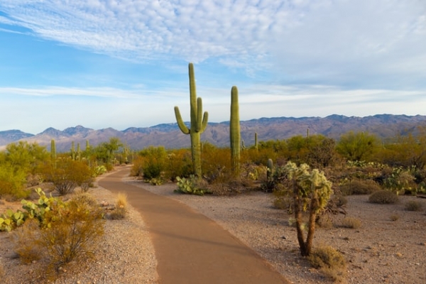 Cummings Plumbing on Common Air Conditioning Issues Caused by Extreme Heat in Arizona