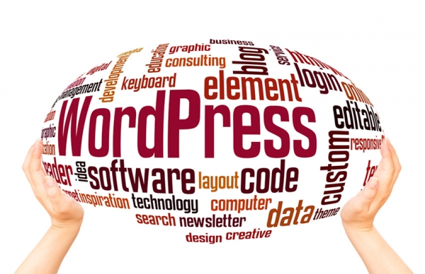 Strengthen Your Web Presence With WordPress Web Development
