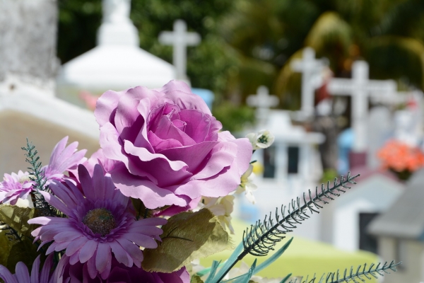 Four Types of Probate