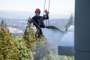 Why Hiring Pressure Cleaning Experts Is Essential For Property Maintenance