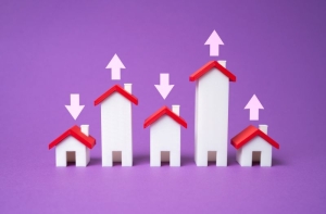 The Competitive Edge: Using Automated Data Collection to Track Market Trends