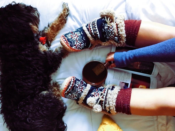 Comfy Home: How Often Should You Service Your HVAC System?