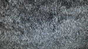 How to Revive Carpet Fibers