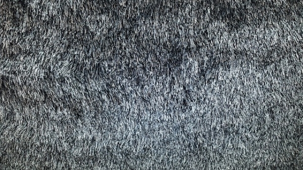 How to Revive Carpet Fibers