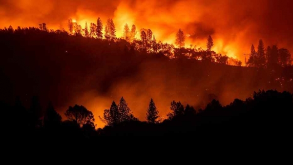 California Fires: How to Clean Wildfire Smoke Contaminated Homes