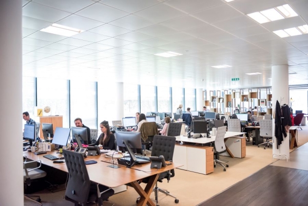 Navigating Workplace Challenges: When to Consult an Employment Attorney