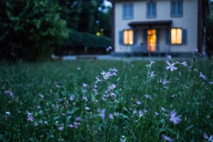 Looking to Buy an Older Home? How to Assess If It's Safe to Live In