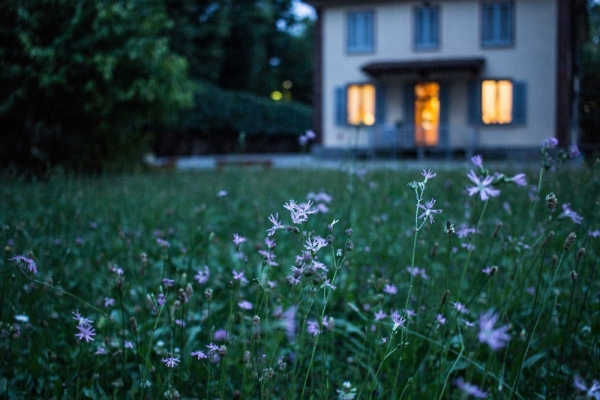 Looking to Buy an Older Home? How to Assess If It's Safe to Live In