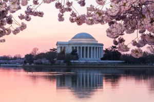 4 Fantastic Reasons for Moving to DC