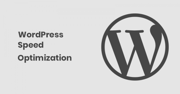 Page Speed Optimization For WordPress
