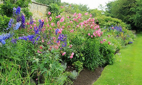 Backyard DIY Projects