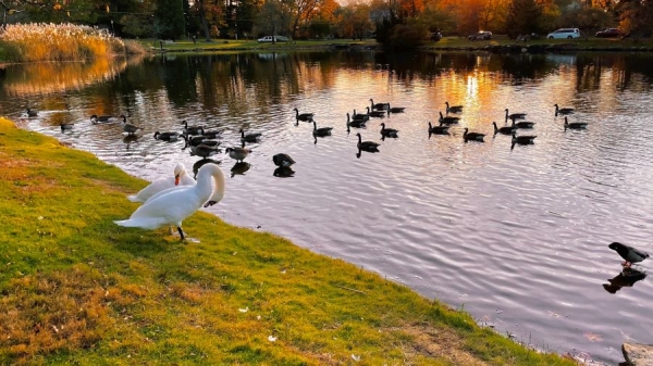 The Ultimate Guide to Moving to Greenwich, CT