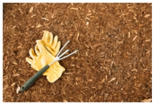 Much Ado About Mulch: Everything Property Owners Need To Know In Coral Springs, Florida