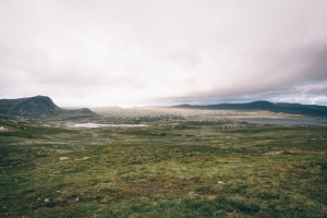 What to Expect When Buying an Acreage