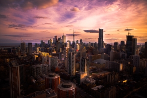 Toronto’s High Density Neighbourhoods Provide a Blueprint for Future Growth