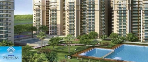 Nirala Splendora
