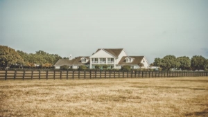 What To Look For In A Top Dallas Realtor