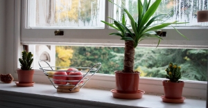 Your Quick and Easy Guide to Home Security