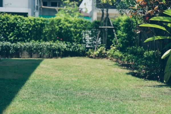 Small Backyard Makeovers with Big Impact