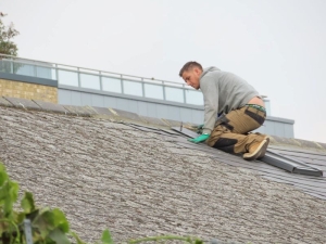 Evaluating Top Structural Integrity Standards For Modern Shingle Work