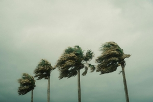 All You Need to Know About Hurricane Insurance