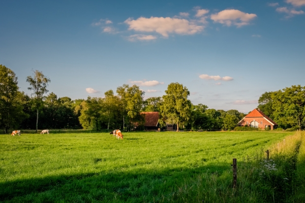 5 Factors To Consider When Looking For The Best Hunting Land in Texas