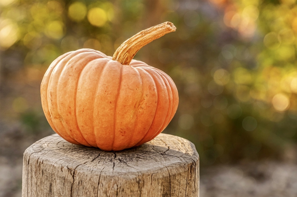 Ask Denise: Welcome Fall