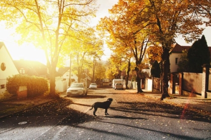 How Neighborhood Analysis Helps Narrow Down Property Options