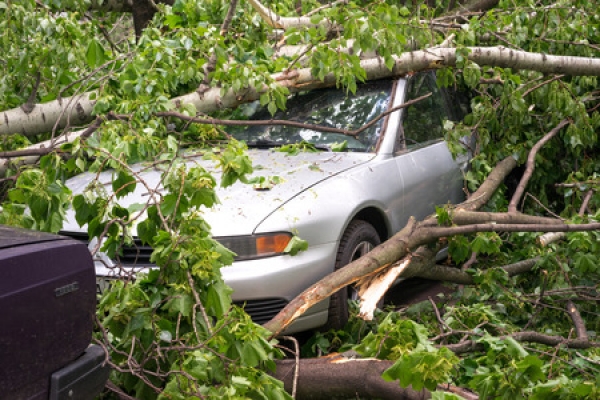 Florida is making it easier to for the contractors after Hurricane Irma