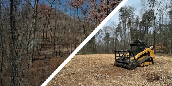 How Forestry Mulching Helps Property Owners Reclaim Overgrown Land