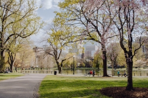 These are the Top Cities For Public Parks and Green Spaces