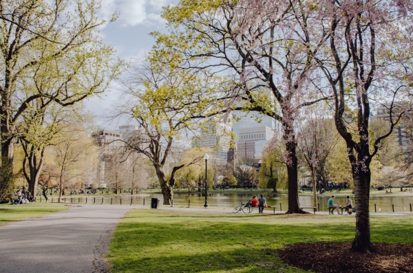 These are the Top Cities For Public Parks and Green Spaces