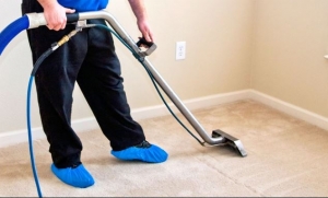 Which Is Better Steam Cleaning or Carpet Cleaning Solutions?