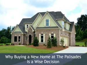 Why Buying a New Home in The Palisades Is a Wise Decision