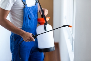7 Ways to Control Pests in Summer