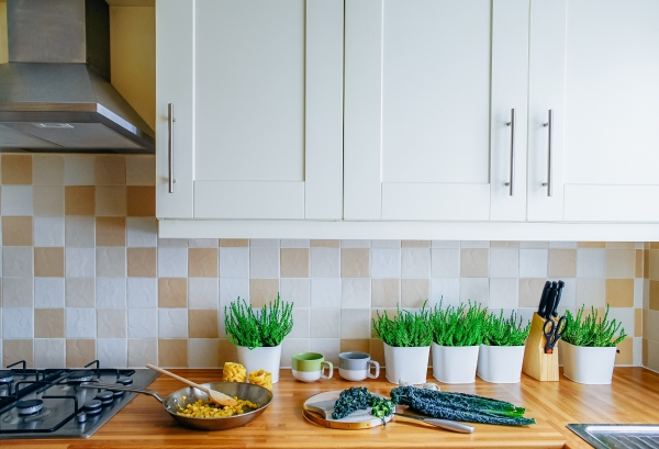 Getting Your Kitchen Ready to Host Summer Parties