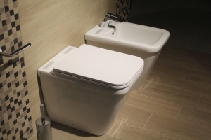 Is It Time to Buy a Bidet?