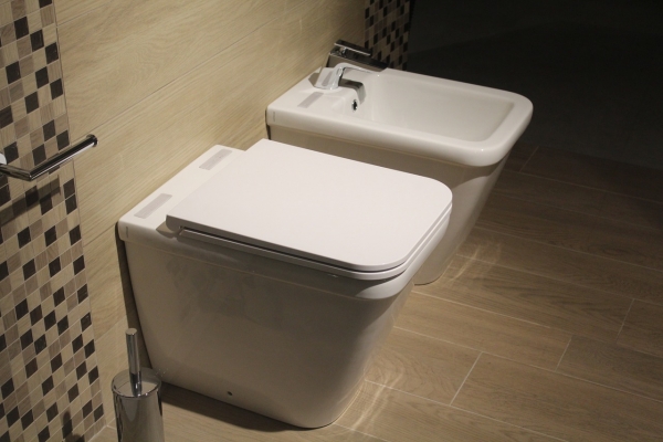 Is It Time to Buy a Bidet?