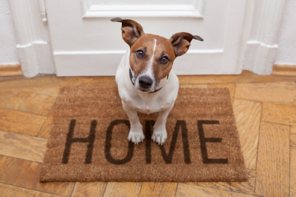 Keeping Your Homebuying Experience Affordable