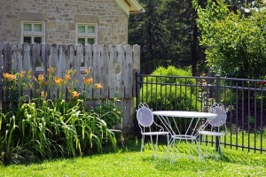 Tips on Taking Care of Your House Yard