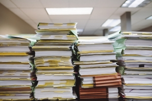 How Students Should Organize Their First Business