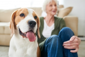New Emotional Support Animal Law for housing: What Does It All Mean?