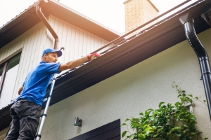 How LeafGuard Gutters Protect Your Home