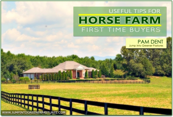 Tips for First-Time Buyers of Charlottesville Horse Farms