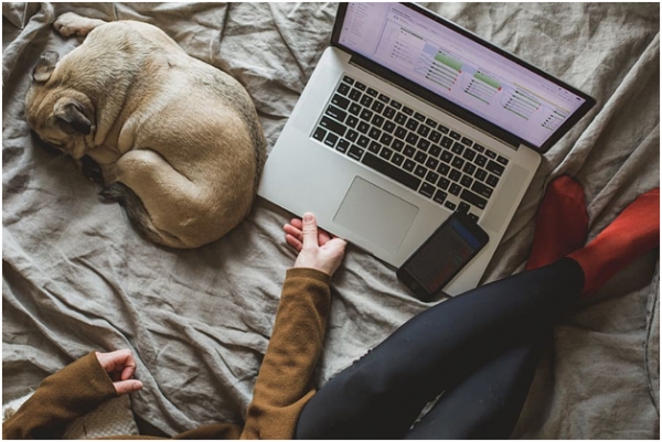 Working From Home? 10 Tips To Be More Sustainable At Home