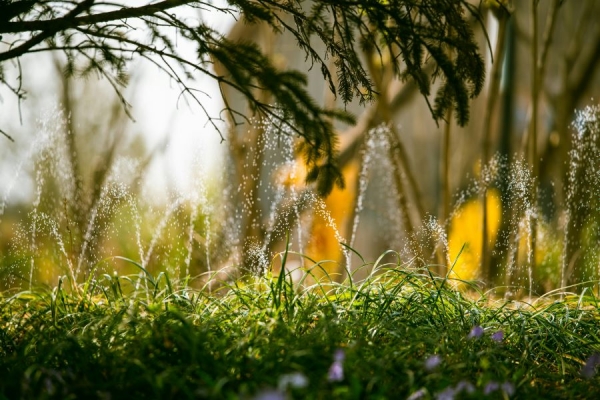 Smart Irrigation Systems