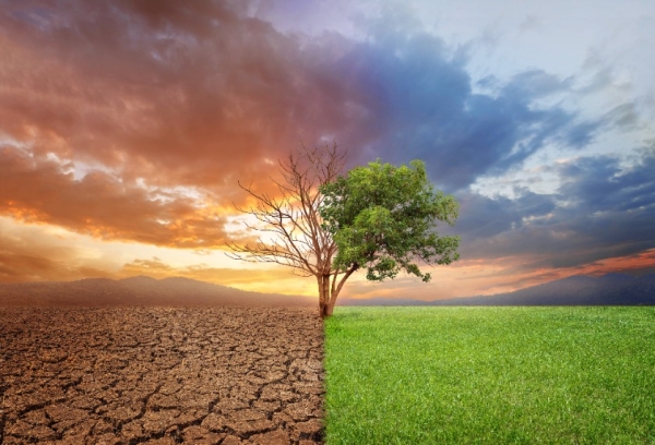 More Than $12 Trillion in U.S. Homes Face Severe Climate Risks, New Realtor.com® Analysis Finds