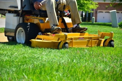7 Essential Steps for Effective Lawn Care and Landscape Maintenance